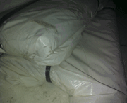 toko plastik cor jual plastik cor menjual plastik cor cari plastik cor